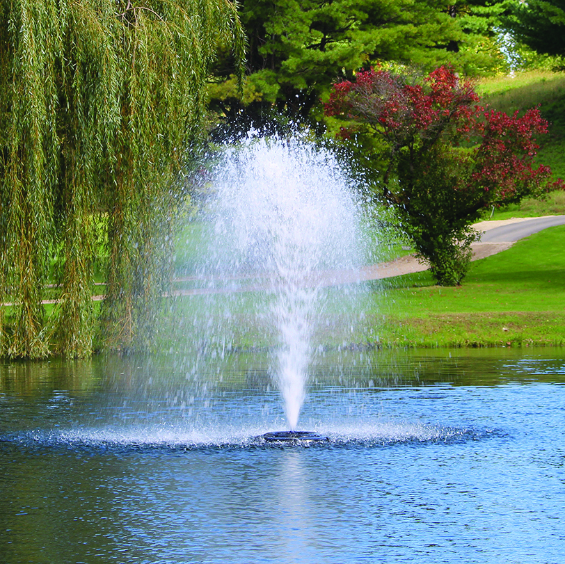 Kasco Birch fountain spray pattern